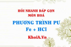 Phương trình phản ứng Fe + HCl đặc nóng, đặc nguội ra gì FeCl2 hay FeCl3? Hỏi nhanh đáp gọn môn Hoá